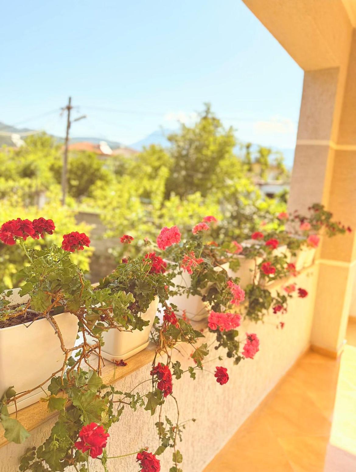 Anel'S Guesthouse Berat Exterior foto